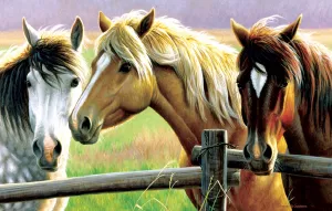 Horse Fence - 1000pc Jigsaw Puzzle By Sunsout  			  					NEW