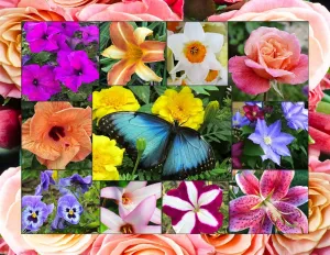In Bloom - 500pc Jigsaw Puzzle By Springbok  			  					NEW
