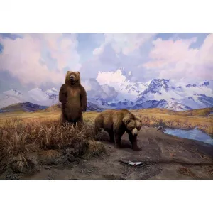 Alaska Brown Bear Diorama - 1000pc Jigsaw Puzzle by Pomegranate  			  					NEW