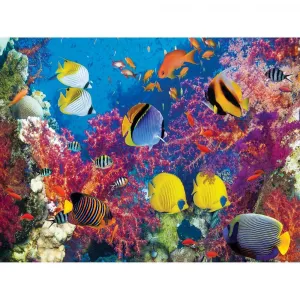 Coral Fish Parade - 500pc Jigsaw Puzzle by Lafayette Puzzle Factory