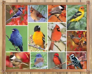 Songbirds - 100pc Jigsaw Puzzle By Springbok