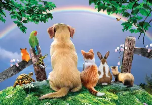 Over the Rainbow - 500pc Jigsaw Puzzle by SunsOut