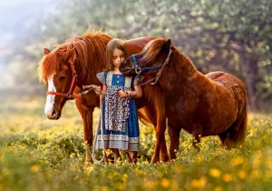 Beauty Within - 500pc Jigsaw Puzzle By Castorland
