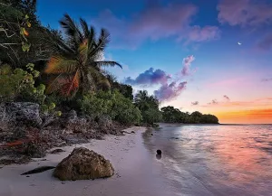 Tropical Idyll - 1000pc Jigsaw Puzzle by Clementoni